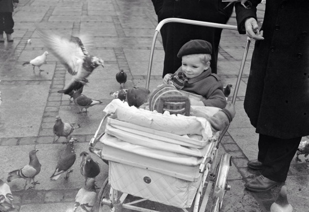 Two children in a pram from the fifties looking at the doves at the Town Hall Square in Copenhagen