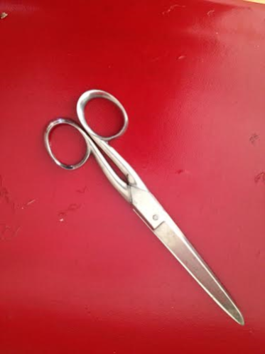 The pair of scissors from my childhood
