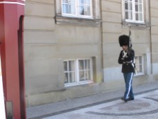 A "Garder" from "Livgarden" guarding the queen's palace in Copenhagen